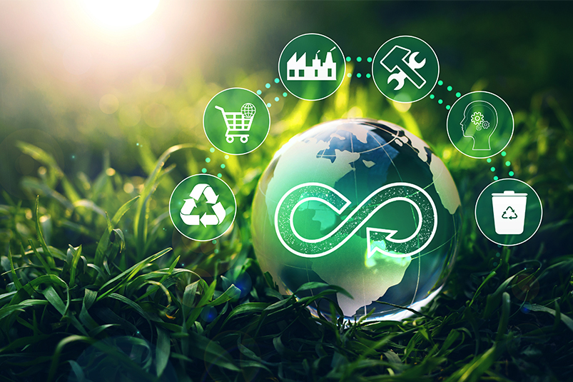 supplier's sustainability and ethical practices